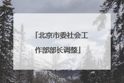 北京市委社会工作部部长调整