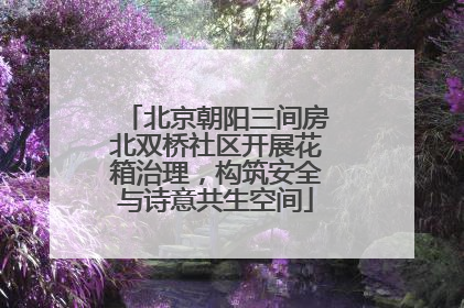 北京朝阳三间房北双桥社区开展花箱治理，构筑安全与诗意共生空间