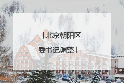 北京朝阳区委书记调整