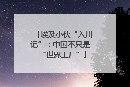 埃及小伙“入川记”：中国不只是“世界工厂”