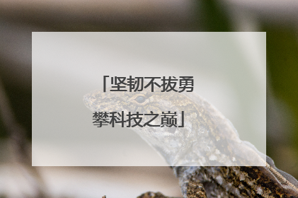 坚韧不拔勇攀科技之巅