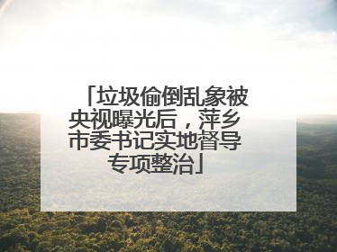 垃圾偷倒乱象被央视曝光后，萍乡市委书记实地督导专项整治