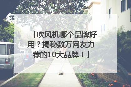 吹风机哪个品牌好用？揭秘数万网友力荐的10大品牌！