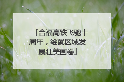 合福高铁飞驰十周年，绘就区域发展壮美画卷