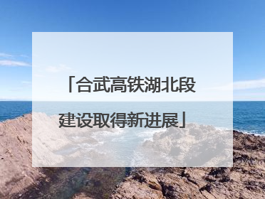 合武高铁湖北段建设取得新进展