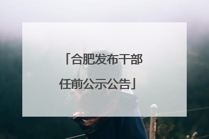 合肥发布干部任前公示公告