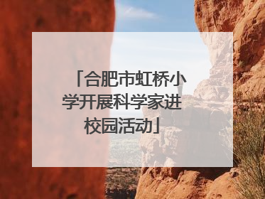 合肥市虹桥小学开展科学家进校园活动