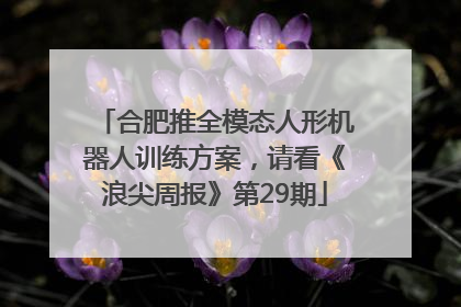 合肥推全模态人形机器人训练方案，请看《浪尖周报》第29期