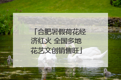 合肥暑假荷花经济红火 全国多地花艺文创销售旺