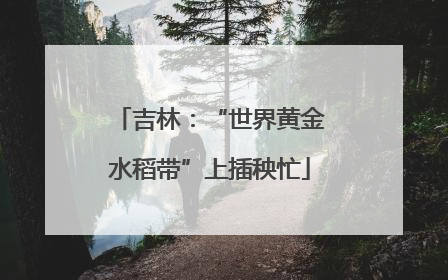 吉林：“世界黄金水稻带”上插秧忙