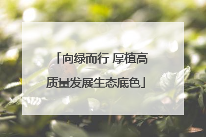 向绿而行 厚植高质量发展生态底色