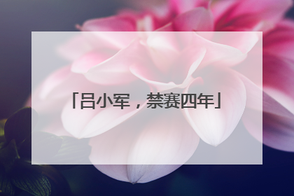 吕小军，禁赛四年