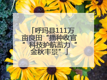 呼玛县111万亩良田“播种收官”科技护航蓄力“金秋丰景”