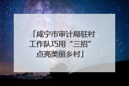 咸宁市审计局驻村工作队巧用“三招”点亮美丽乡村