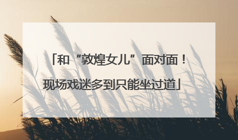 和“敦煌女儿”面对面！现场戏迷多到只能坐过道