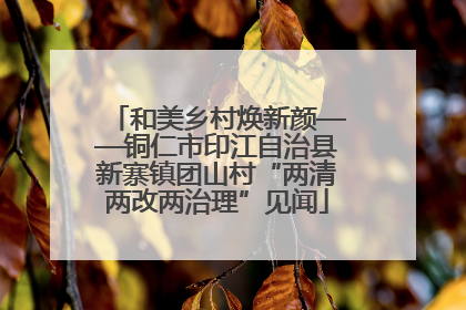 和美乡村焕新颜——铜仁市印江自治县新寨镇团山村“两清两改两治理”见闻