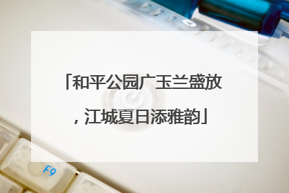 和平公园广玉兰盛放，江城夏日添雅韵