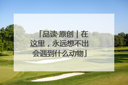 品读·原创｜在这里，永远想不出会遇到什么动物