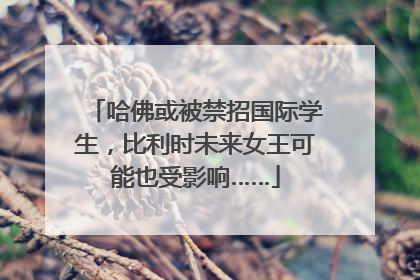 哈佛或被禁招国际学生，比利时未来女王可能也受影响……