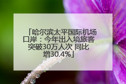 哈尔滨太平国际机场口岸：今年出入境旅客突破30万人次 同比增30.4%