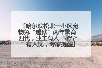 哈尔滨松北一小区宠物兔“越狱”两年繁育四代，业主有人“稀罕”有人忧，专家提醒