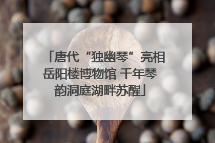 唐代“独幽琴”亮相岳阳楼博物馆 千年琴韵洞庭湖畔苏醒