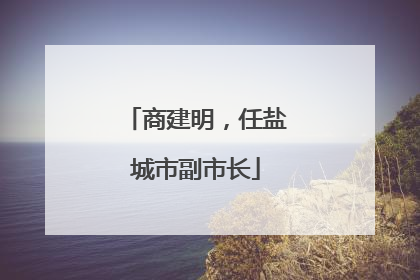 商建明，任盐城市副市长