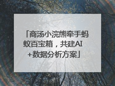 商汤小浣熊牵手蚂蚁百宝箱，共建AI+数据分析方案