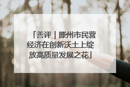 善评｜滕州市民营经济在创新沃土上绽放高质量发展之花