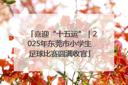 喜迎“十五运”｜2025年东莞市小学生足球比赛圆满收官
