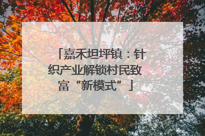 嘉禾坦坪镇：针织产业解锁村民致富“新模式”