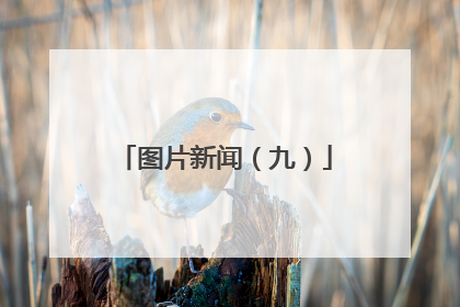 图片新闻（九）