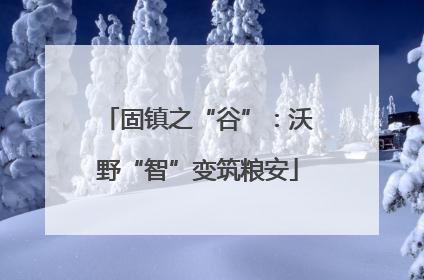 固镇之“谷”：沃野“智”变筑粮安