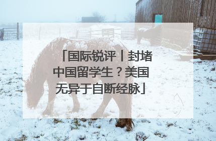 国际锐评丨封堵中国留学生？美国无异于自断经脉