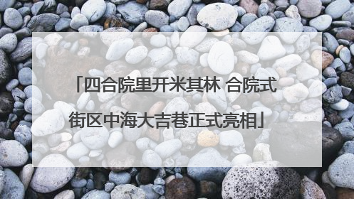 四合院里开米其林 合院式街区中海大吉巷正式亮相