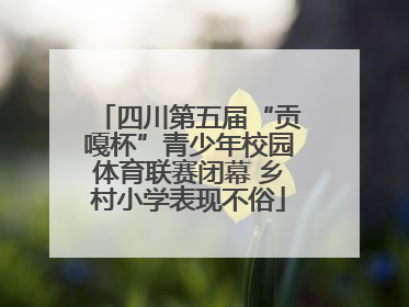 四川第五届“贡嘎杯”青少年校园体育联赛闭幕 乡村小学表现不俗