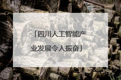 四川人工智能产业发展令人振奋