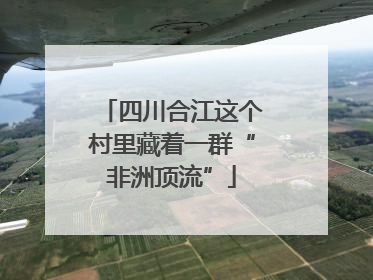 四川合江这个村里藏着一群“非洲顶流”