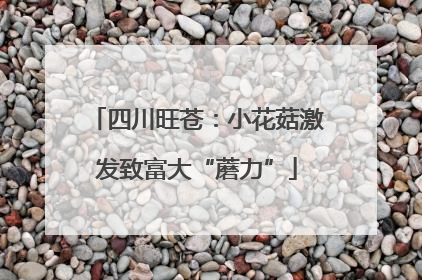 四川旺苍：小花菇激发致富大“蘑力”