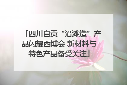 四川自贡“沿滩造”产品闪耀西博会 新材料与特色产品备受关注