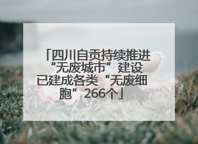 四川自贡持续推进“无废城市”建设 已建成各类“无废细胞”266个