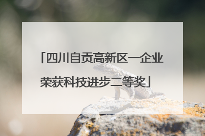 四川自贡高新区一企业荣获科技进步二等奖