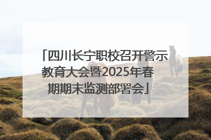 四川长宁职校召开警示教育大会暨2025年春期期末监测部署会