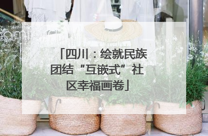 四川：绘就民族团结“互嵌式”社区幸福画卷