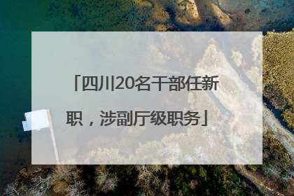 四川20名干部任新职，涉副厅级职务