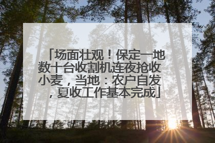 场面壮观！保定一地数十台收割机连夜抢收小麦，当地：农户自发，夏收工作基本完成