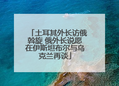 土耳其外长访俄斡旋 俄外长说愿在伊斯坦布尔与乌克兰再谈