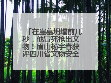 在崖墓坍塌前几秒，他冒死抢出文物！眉山杨宇春获评四川省文物安全守护者