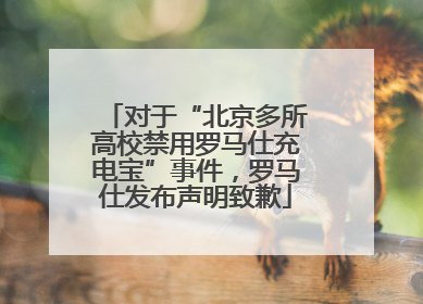 对于“北京多所高校禁用罗马仕充电宝”事件，罗马仕发布声明致歉