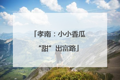 孝南：小小香瓜 “甜”出富路